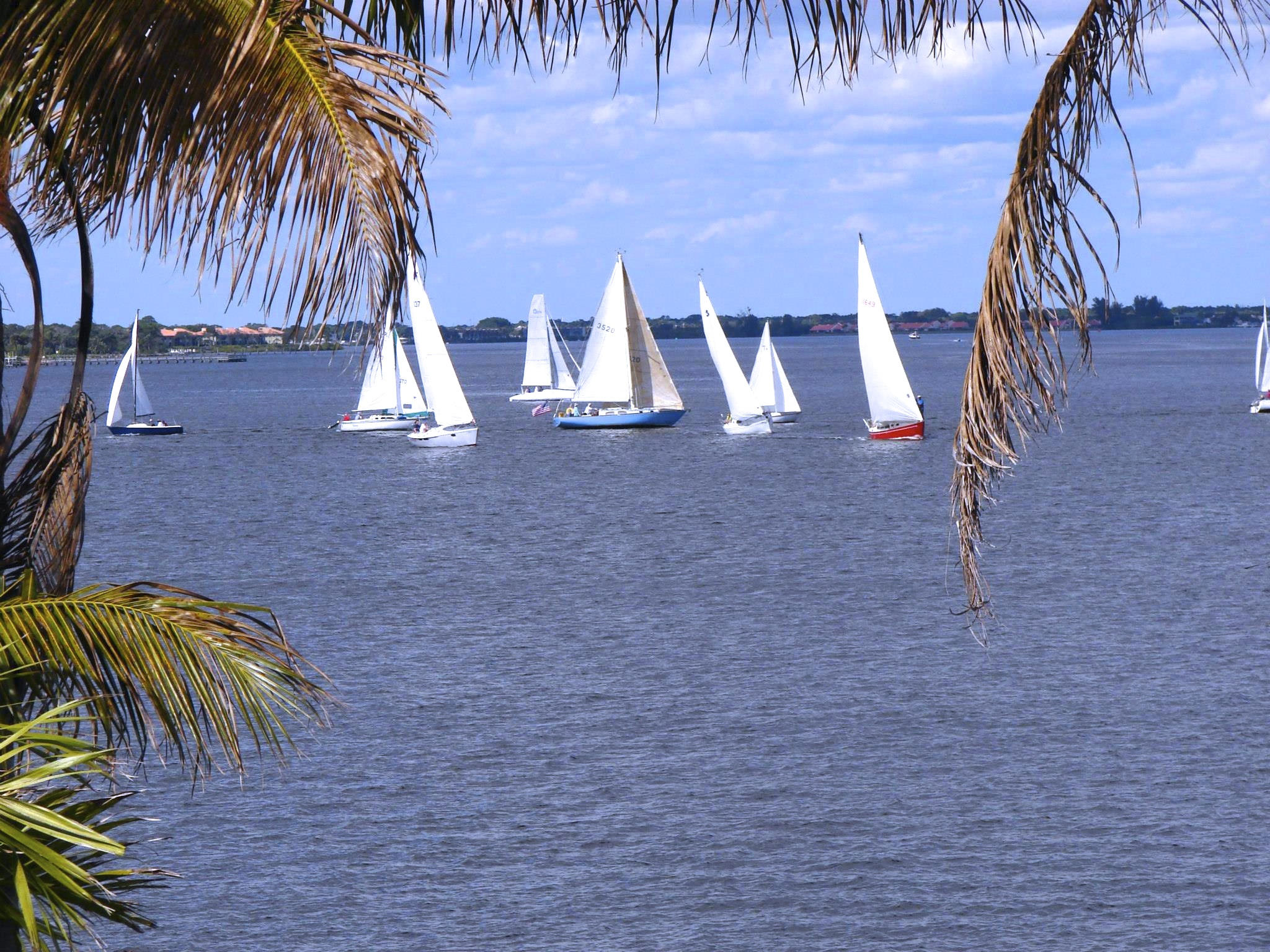 1269 Southwest Dyer Point Road Palm City, FL 34990 - Photo 33 of 35 Sail boat regatta