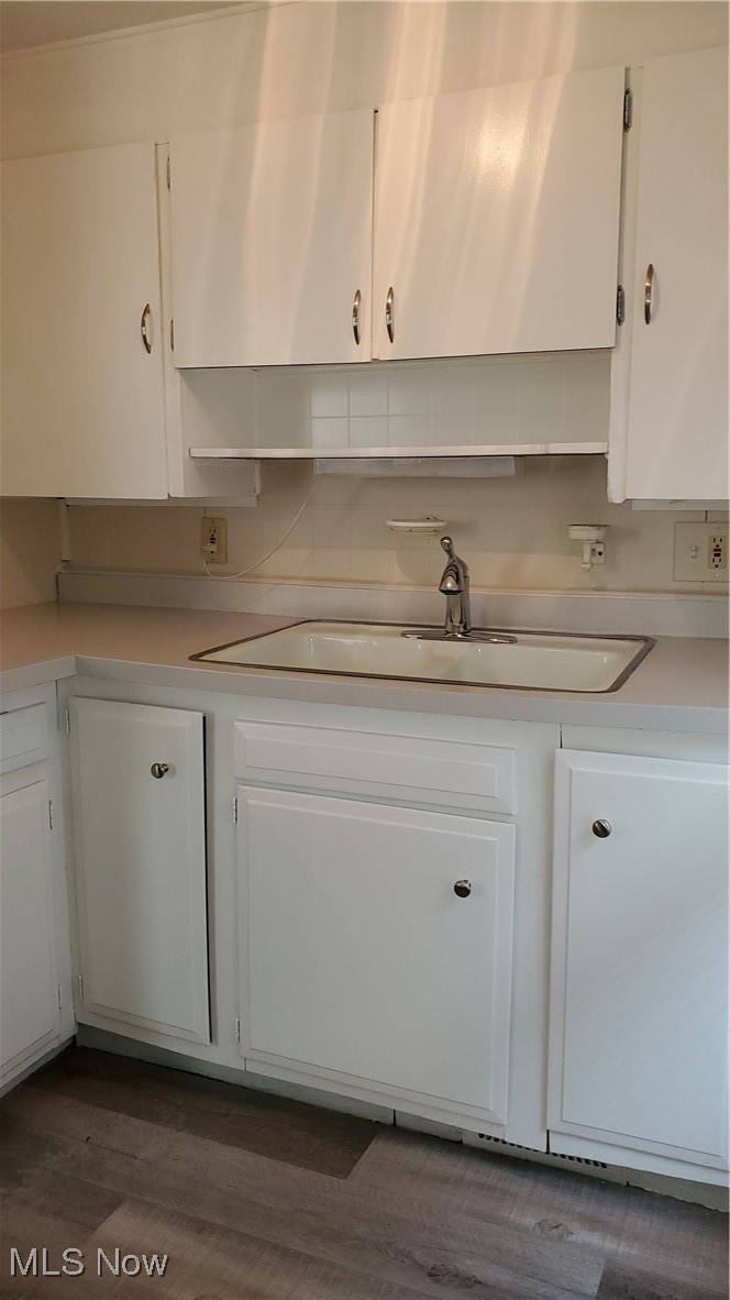 17610 Brazil Road Cleveland, OH 44119 - Photo 7 of 50 Kitchen with white cabinetry, sink, dark wood-type flooring, and tasteful backsplash