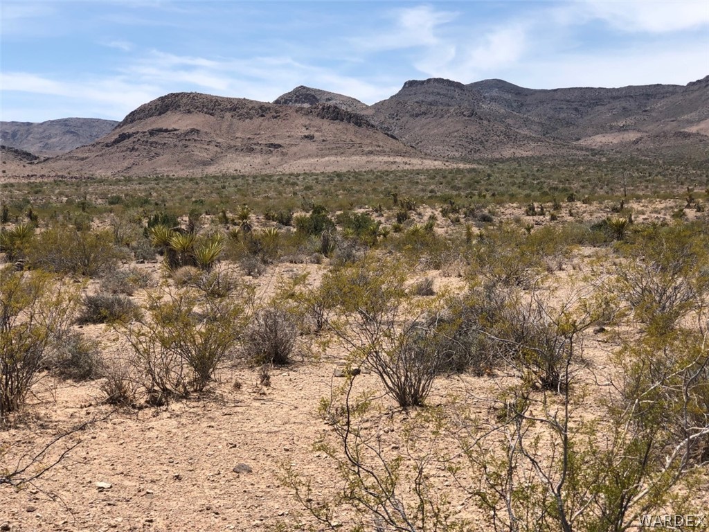 - North Bridgeport Road Golden Valley, AZ 86413 - Photo 17 of 20 Gallery Image 17