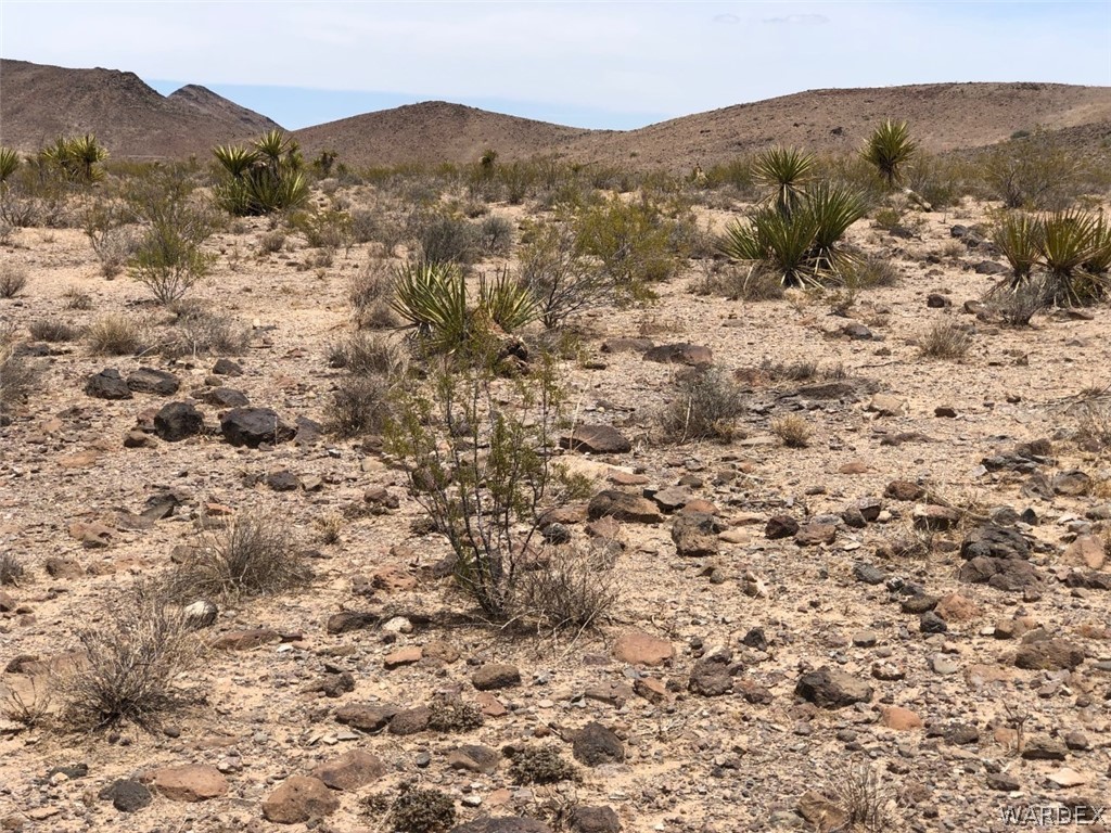 - North Bridgeport Road Golden Valley, AZ 86413 - Photo 7 of 20 Gallery Image 7