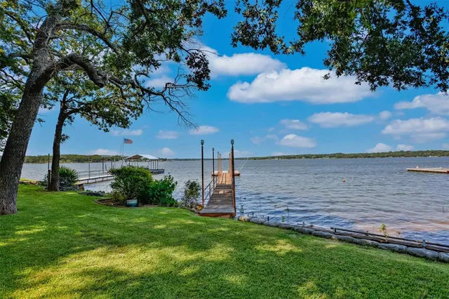 a view of a garden with a large tree