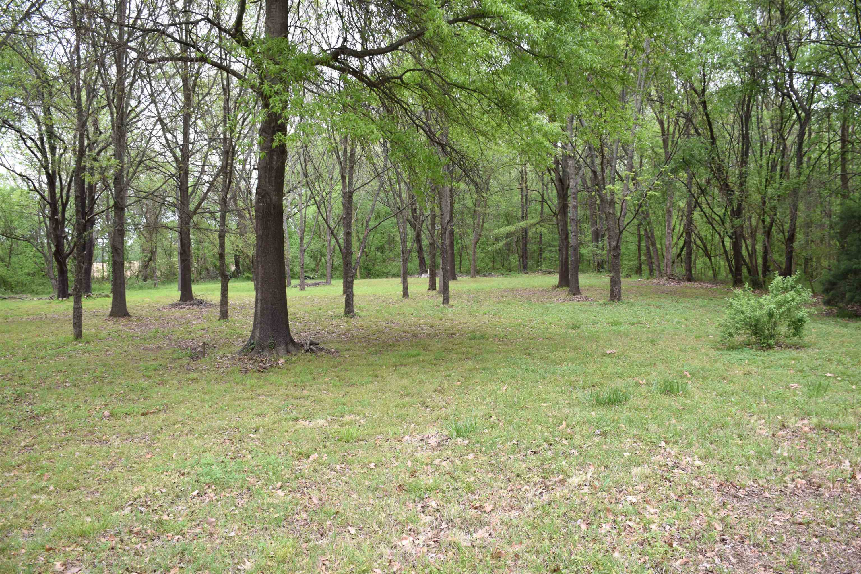 82 Keely Mill Road Trenton, TN 38382 - Photo 30 of 39 Photo 30