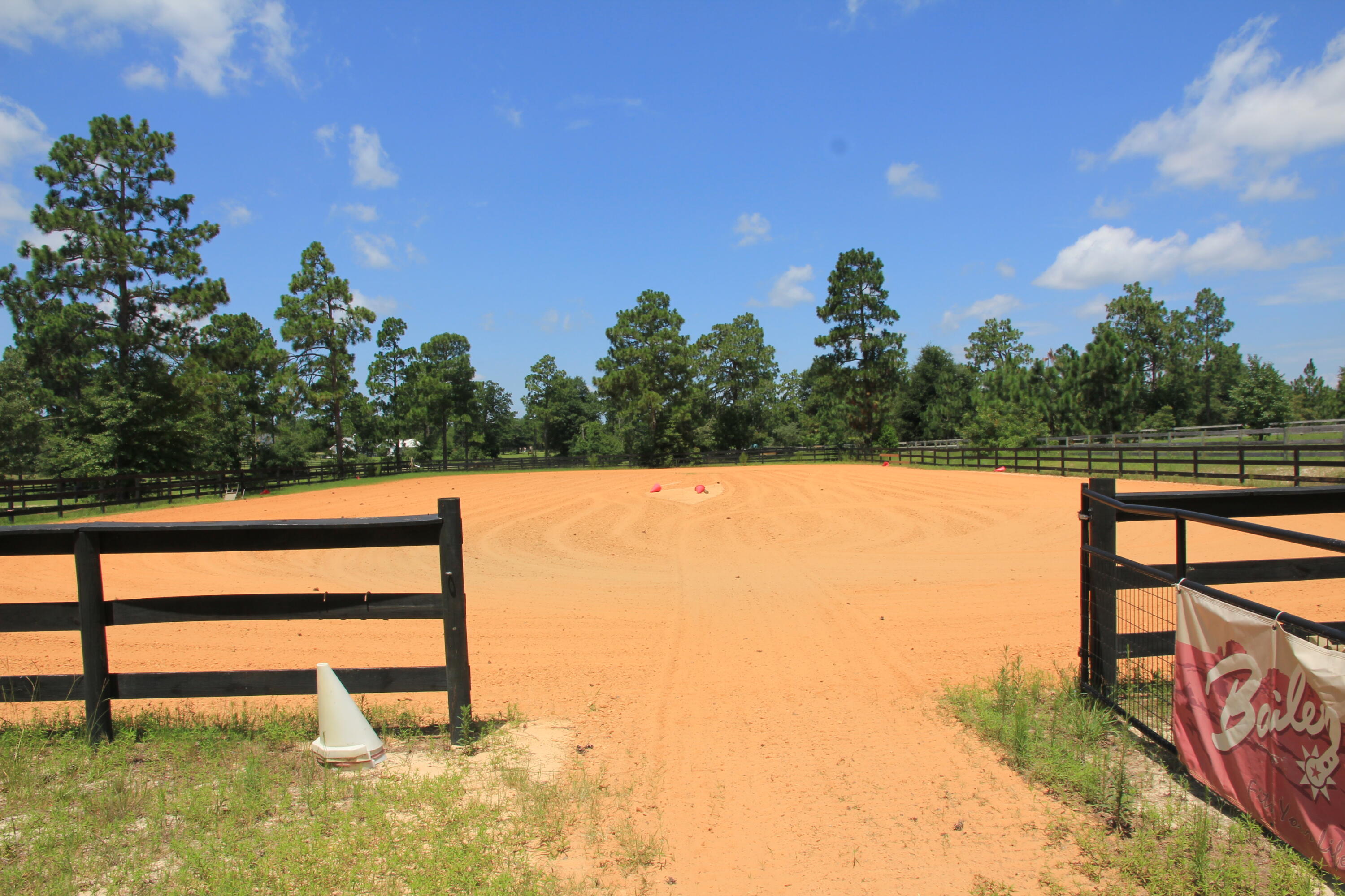 480 Thrasher Lane Windsor, SC 29856 - Photo 14 of 19