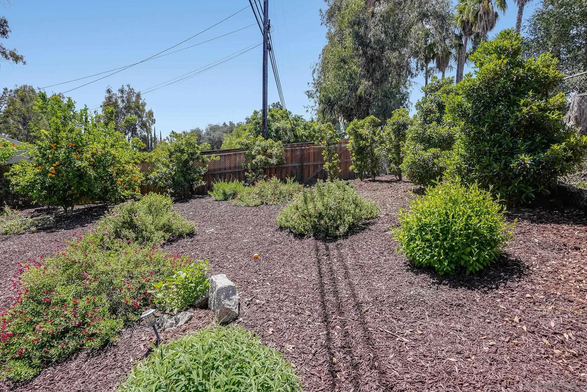 16672 Martincoit Road Poway, CA 92064 - Photo 54 of 71 a view of a garden with plants