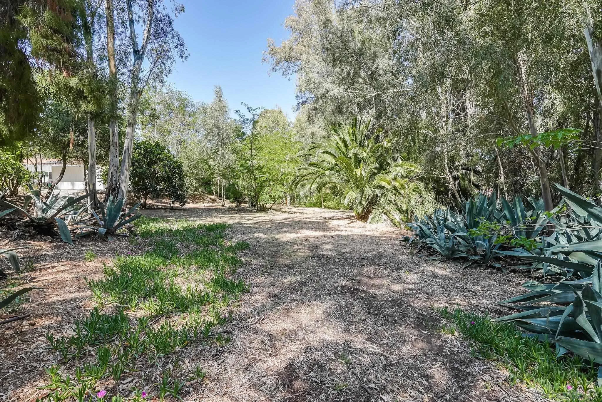 16672 Martincoit Road Poway, CA 92064 - Photo 63 of 71 a view of outdoor space with trees all around