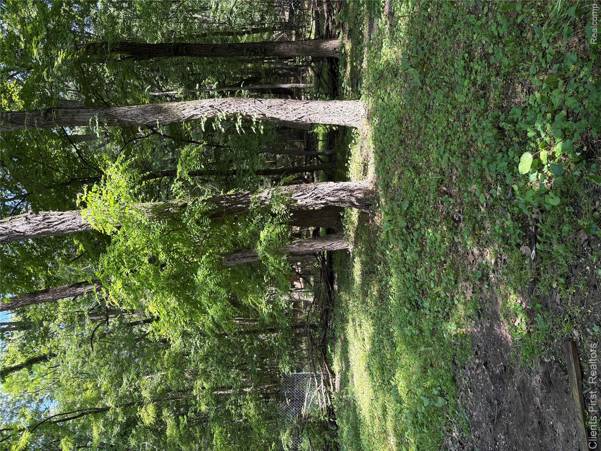5844 Crandall Road Howell, MI 48855 - Photo 50 of 52 IMG_4734.jpeg