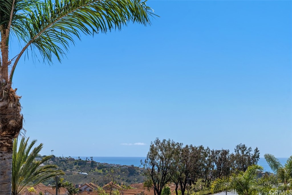 511 Avenida Ossa San Clemente, CA 92672 - Photo 1 of 49 a view of a lake