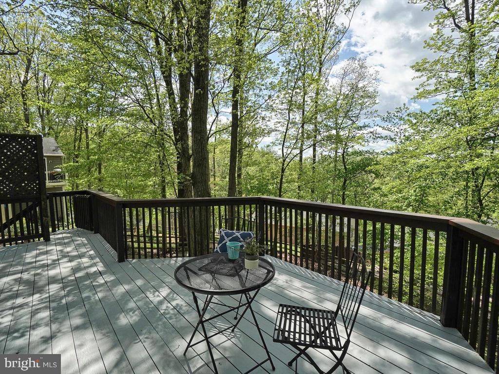 6614 Rockridge Road New Market, MD 21774 - Photo 50 of 65 Gallery Image 50