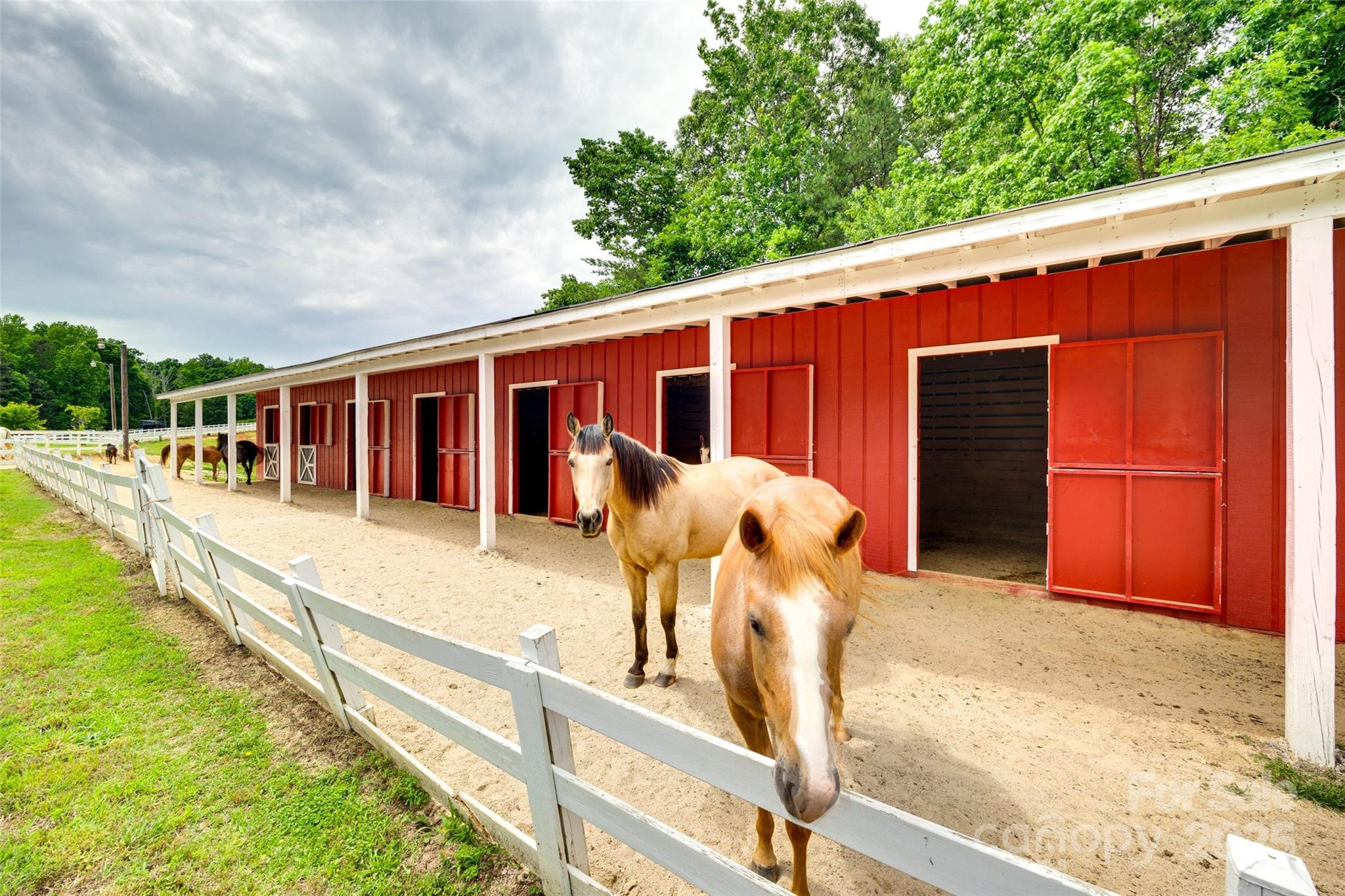 3091 Old Meeting House Road Sharon, SC 29742 - Photo 29 of 38