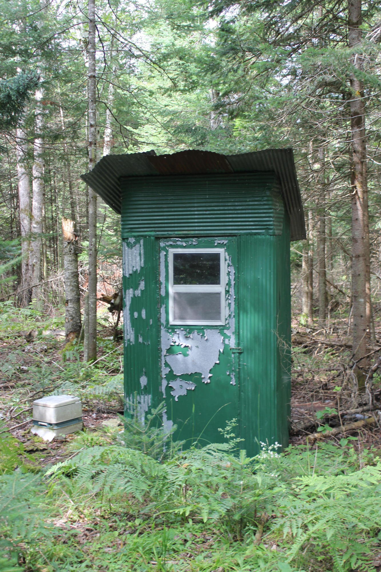Snoopy Lane Frederic, MI 49733 - Photo 18 of 28 Gallery Image 18