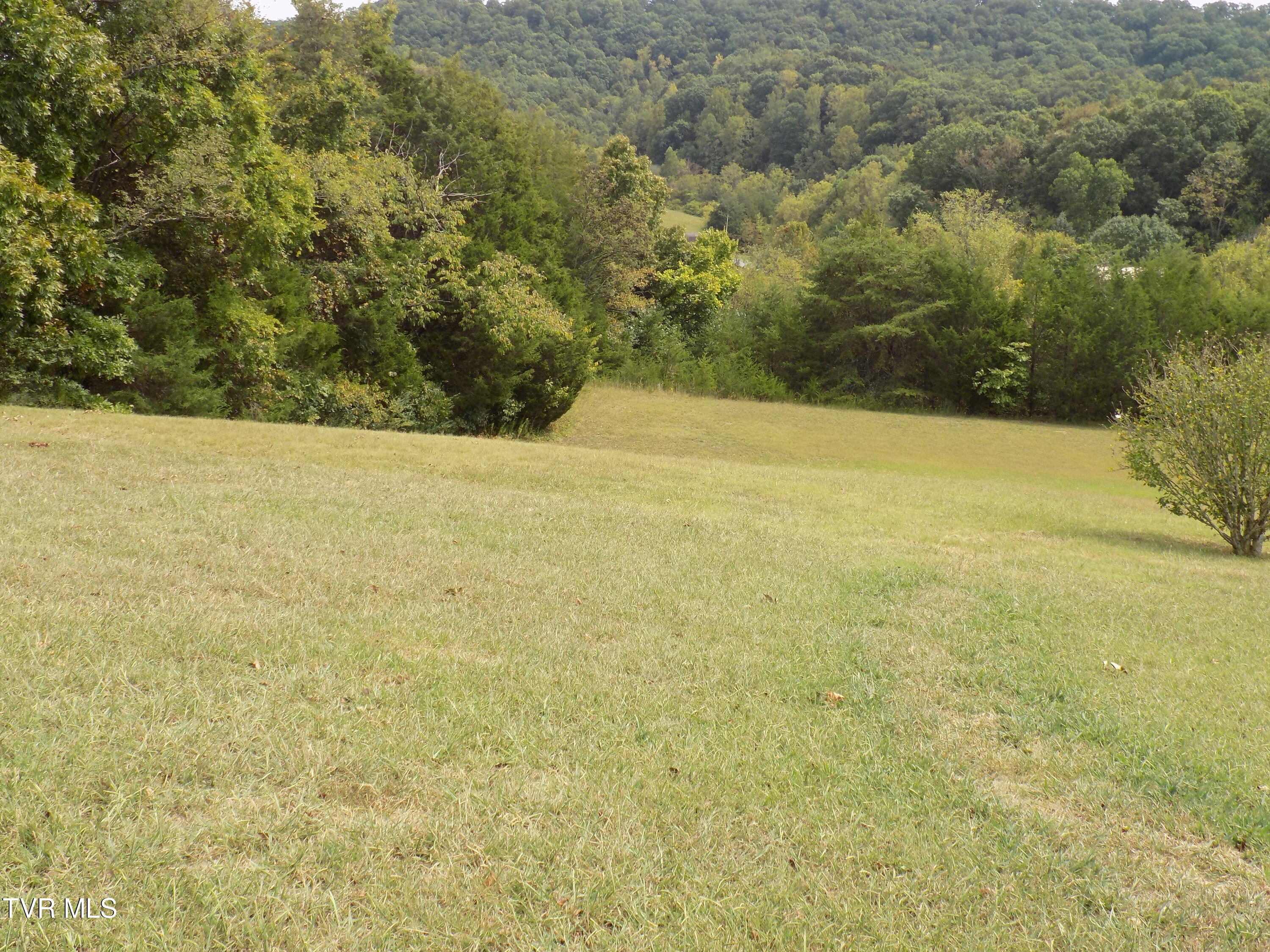 155 Lawson Road Bulls Gap, TN 37711 - Photo 8 of 36 DSCN0899