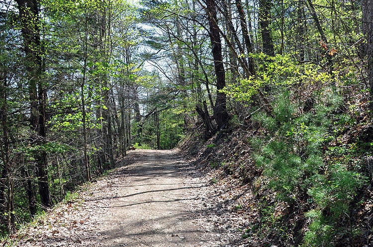 100 Baker Mountain Road Union, WV 24983 - Photo 13 of 52 Gallery Image 13