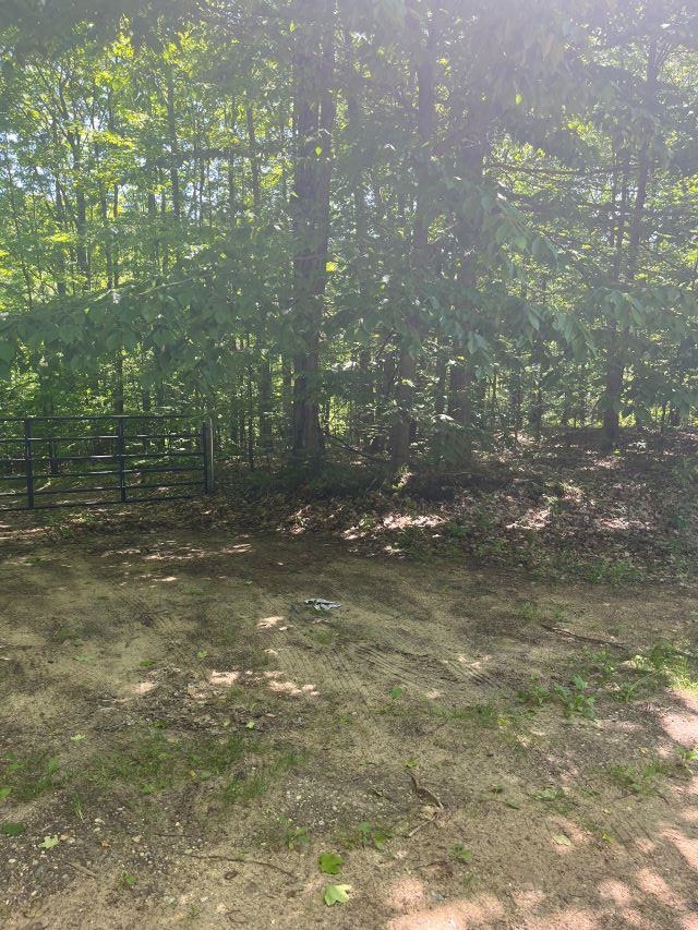 Parcel G North Parcel G N 45th Road Manton, MI 49663 - Photo 5 of 7