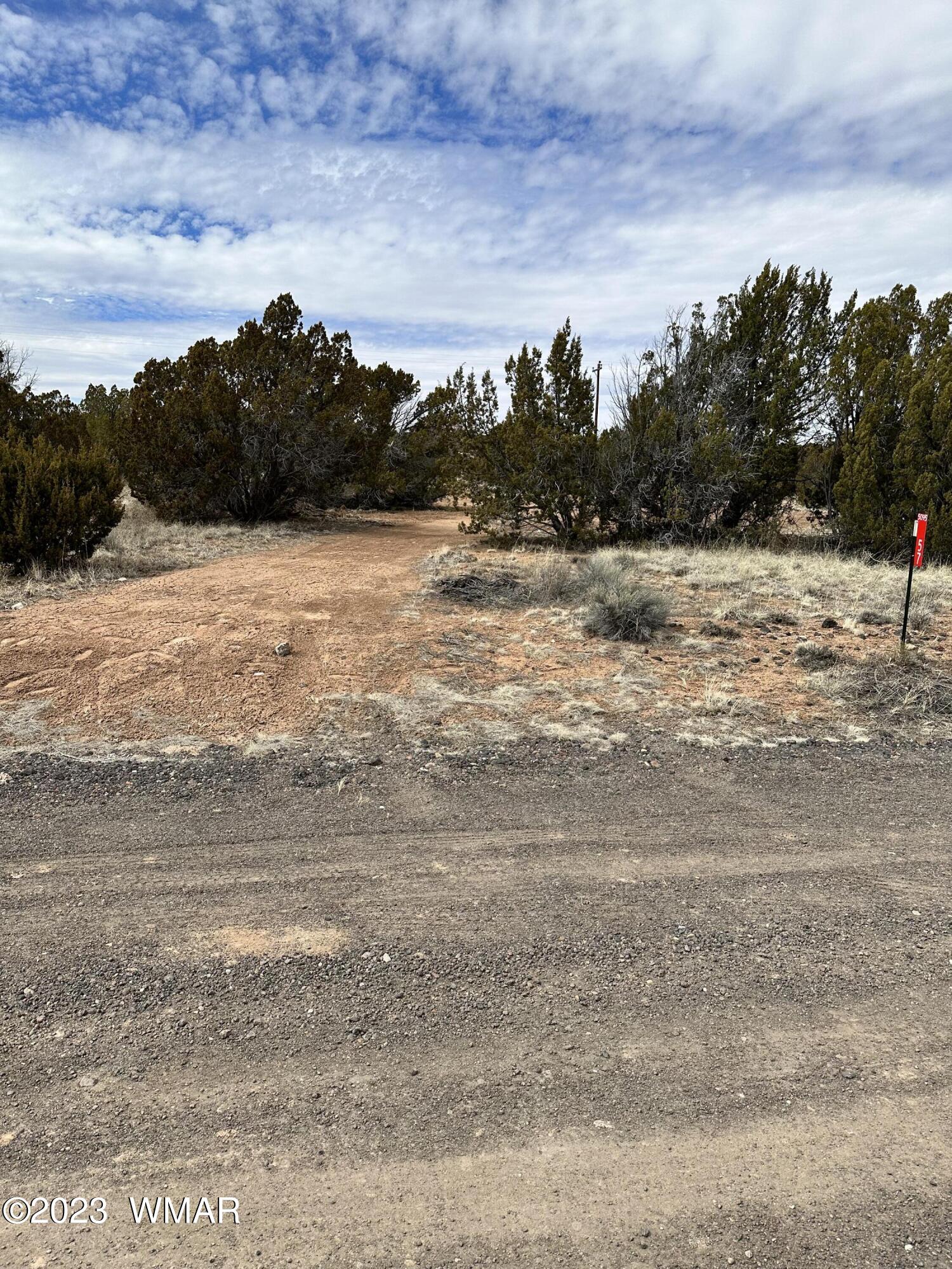 Tbd Caddie Lane Concho, AZ 85924 - Photo 2 of 5