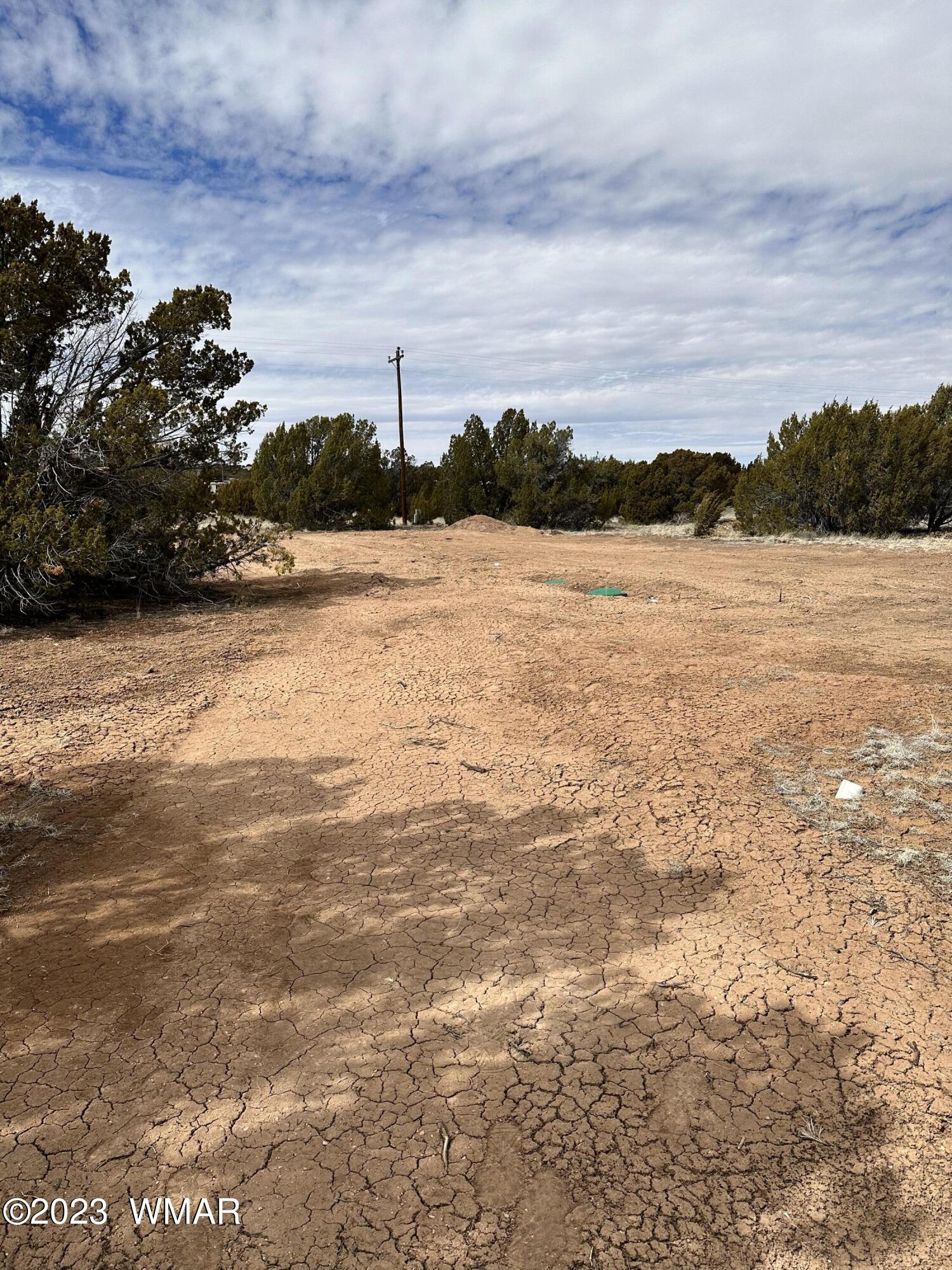 Tbd Caddie Lane Concho, AZ 85924 - Photo 4 of 5