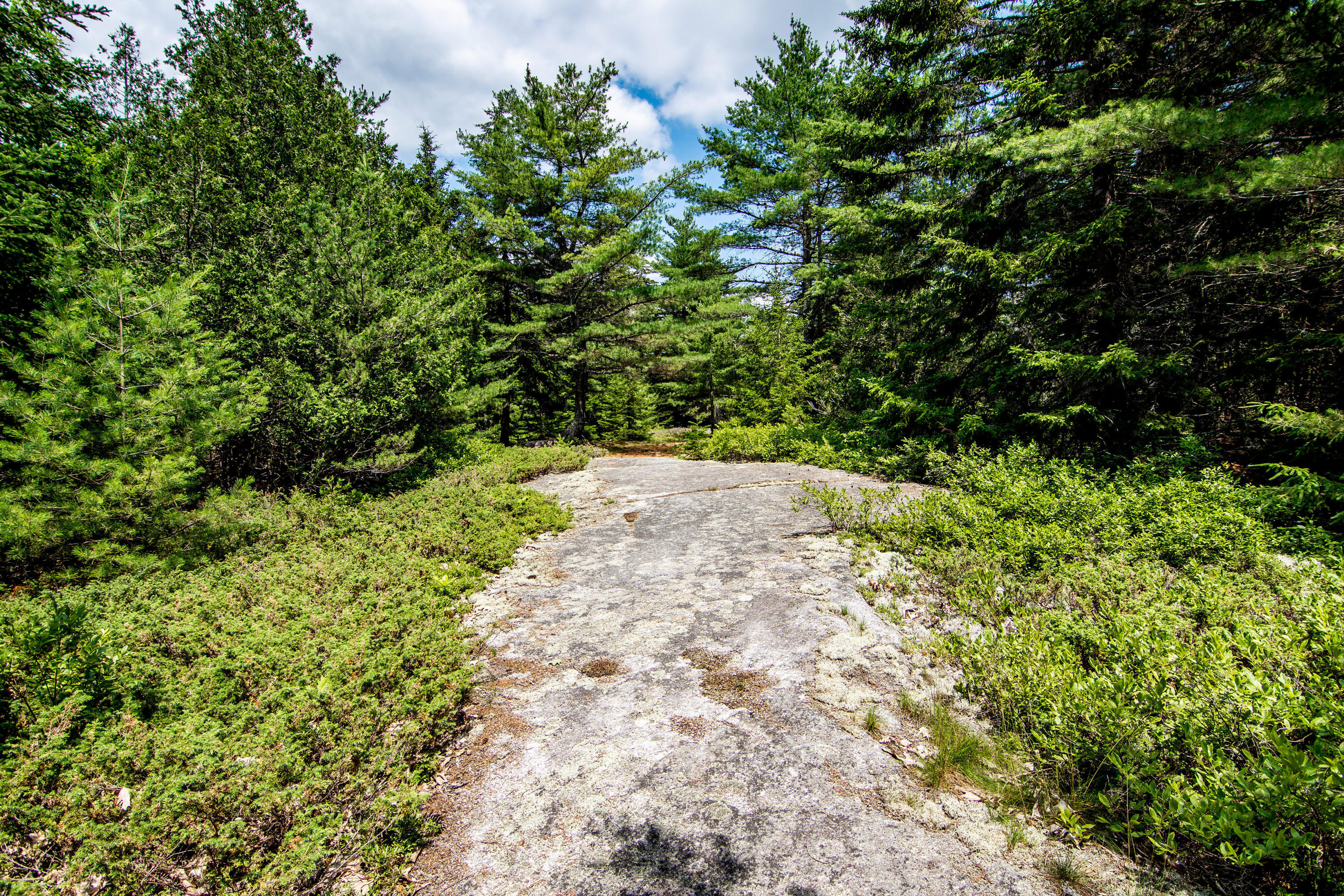41 Byards Point Road Sargentville, ME 04673 - Photo 38 of 39 41 Byards Point Road Sedgwick-print-041-