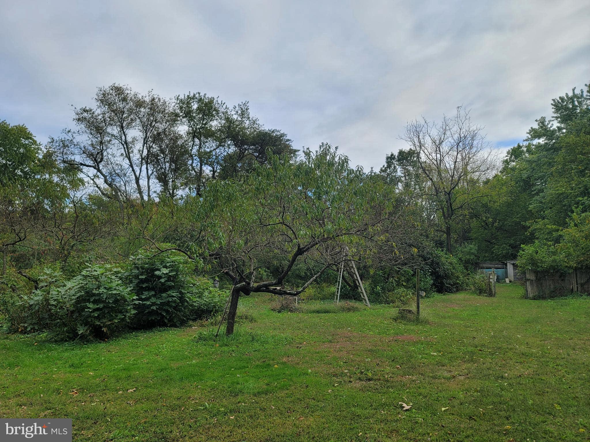75 Piercetown Road Millville, NJ 08332 - Photo 33 of 49 a view of a green field with trees