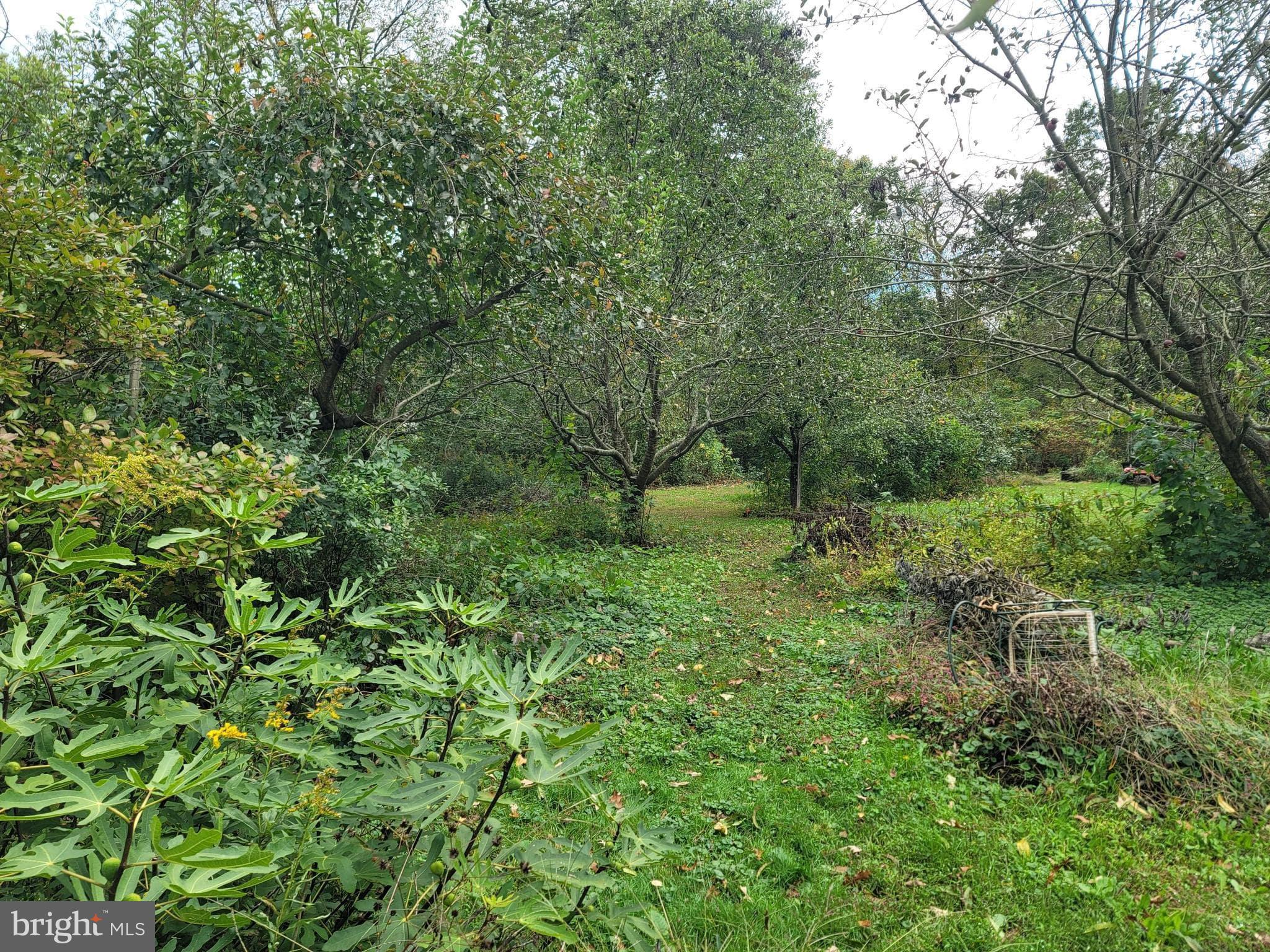 75 Piercetown Road Millville, NJ 08332 - Photo 34 of 49 a view of outdoor space and garden
