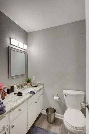 a bathroom with a toilet a sink a mirror and vanity