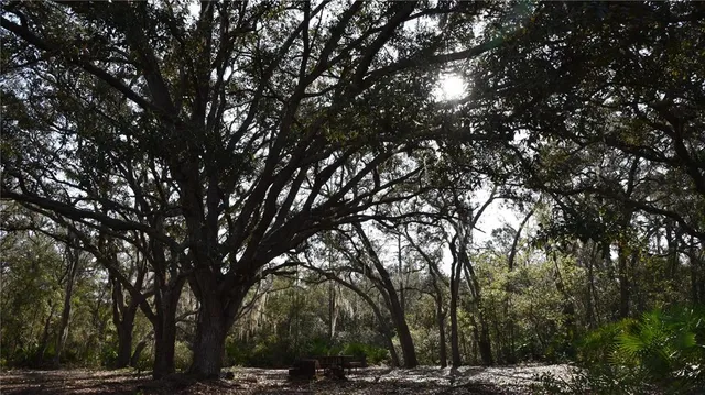 $1,149,000 | 81 Clouds Avenue, Interlachen, FL 32148