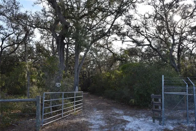a view of a backyard with of water