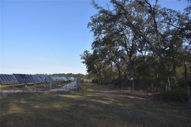 a view of a backyard