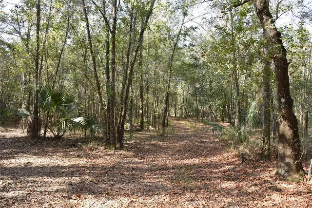 a view of outdoor space and yard