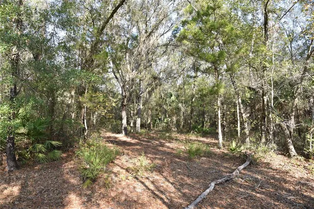 a view of outdoor space with trees