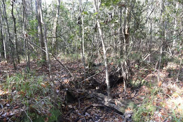 a view of lake and mountain