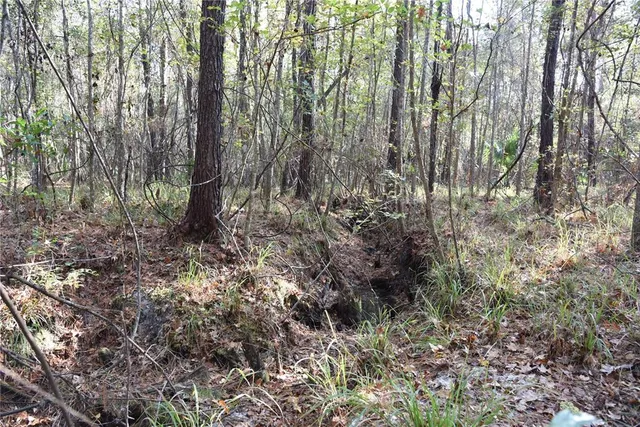 a view of a lake from a mountain