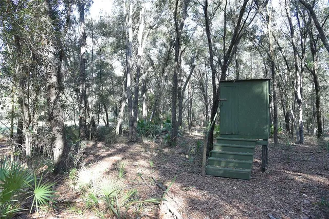a view of an outdoor space with mountain view