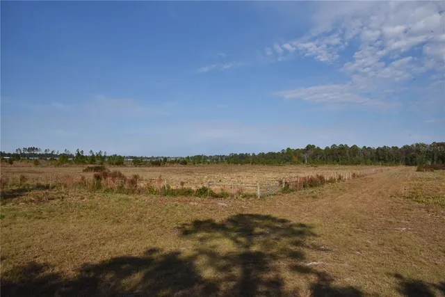 a backyard of a house with lots of green space