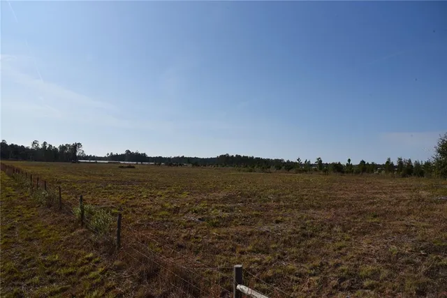 a view of outdoor space and trees