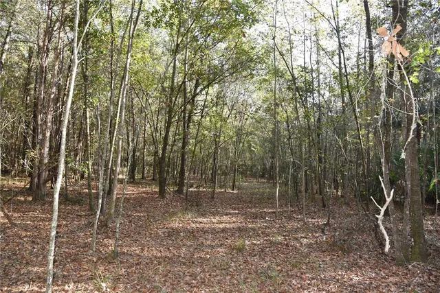 a view of a yard with large trees
