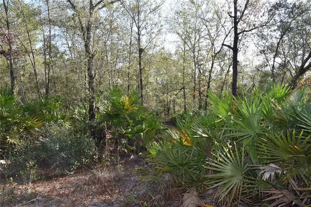 a view of outdoor space and trees