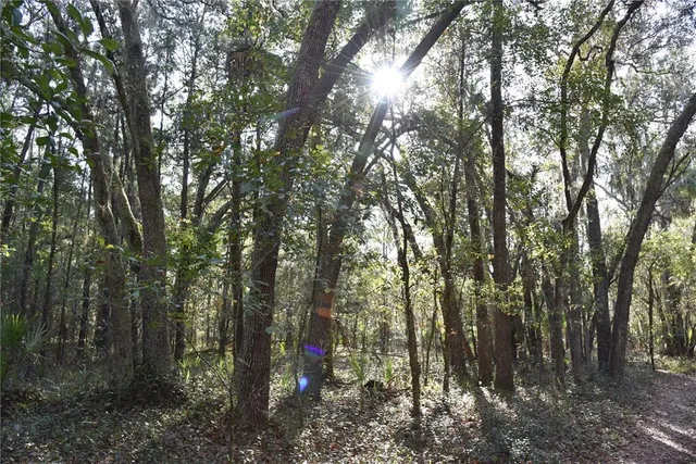 a view of outdoor space with trees