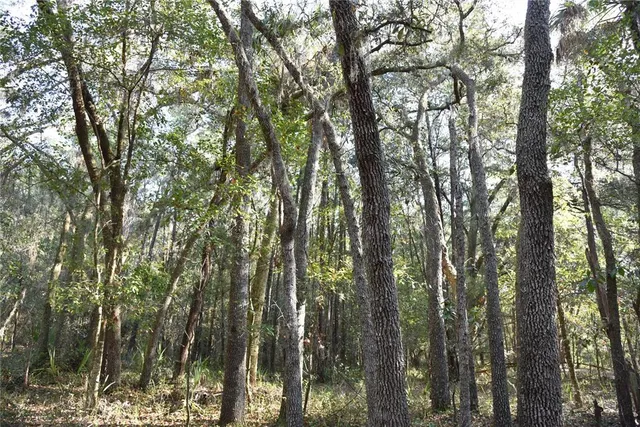 a view of outdoor space with trees