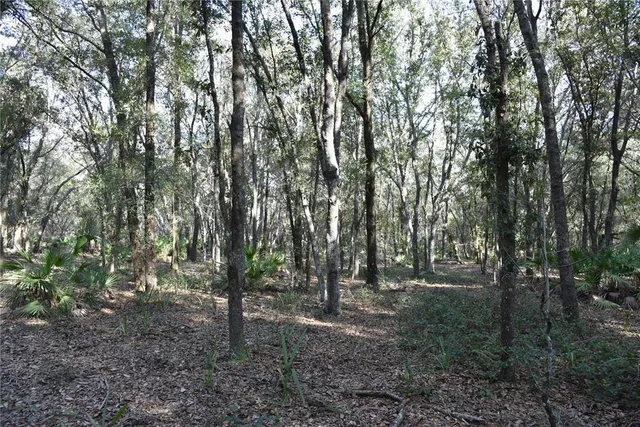 $1,149,000 | 81 Clouds Avenue, Interlachen, FL 32148