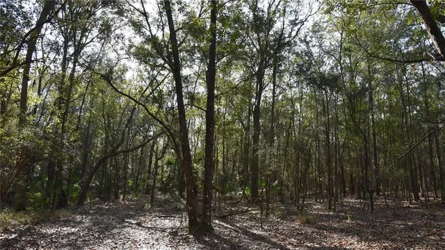 $1,149,000 | 81 Clouds Avenue, Interlachen, FL 32148