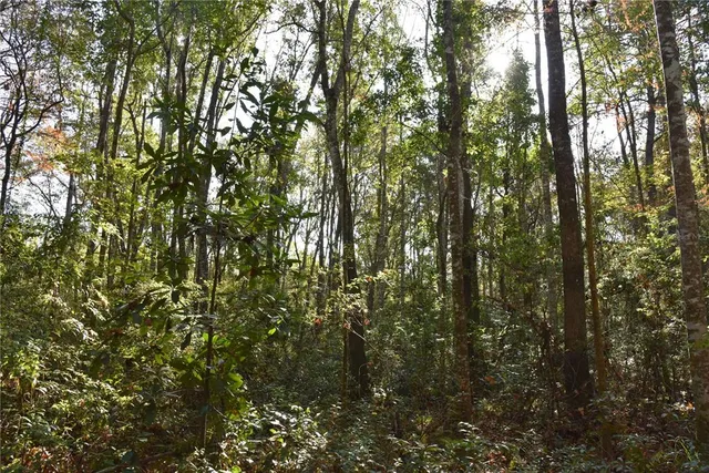 $1,149,000 | 81 Clouds Avenue, Interlachen, FL 32148