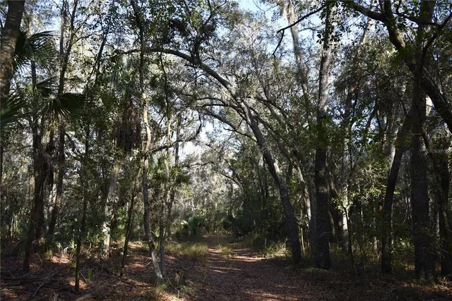 a view of a green field with trees in the background