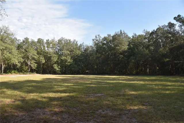 a view of a field with trees
