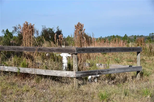 a view of a house with a tree