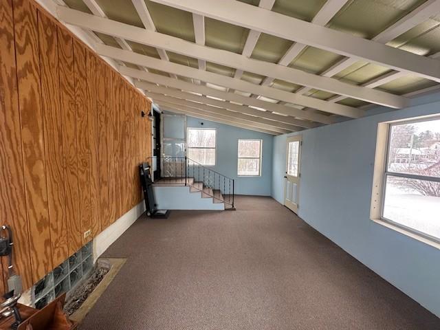 515 South Division Avenue Spring Grove, MN 55974 - Photo 14 of 58