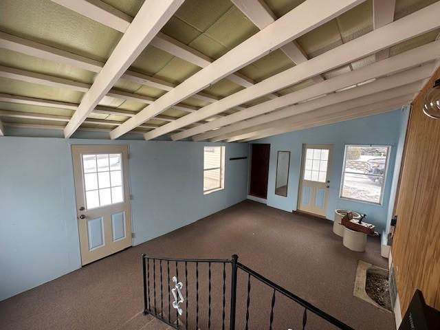 515 South Division Avenue Spring Grove, MN 55974 - Photo 16 of 58