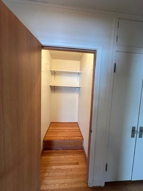 515 South Division Avenue Spring Grove, MN 55974 - Photo 44 of 58