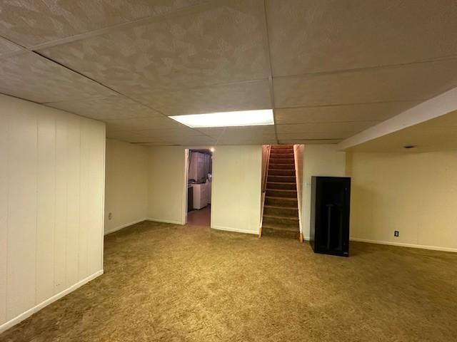 515 South Division Avenue Spring Grove, MN 55974 - Photo 46 of 58