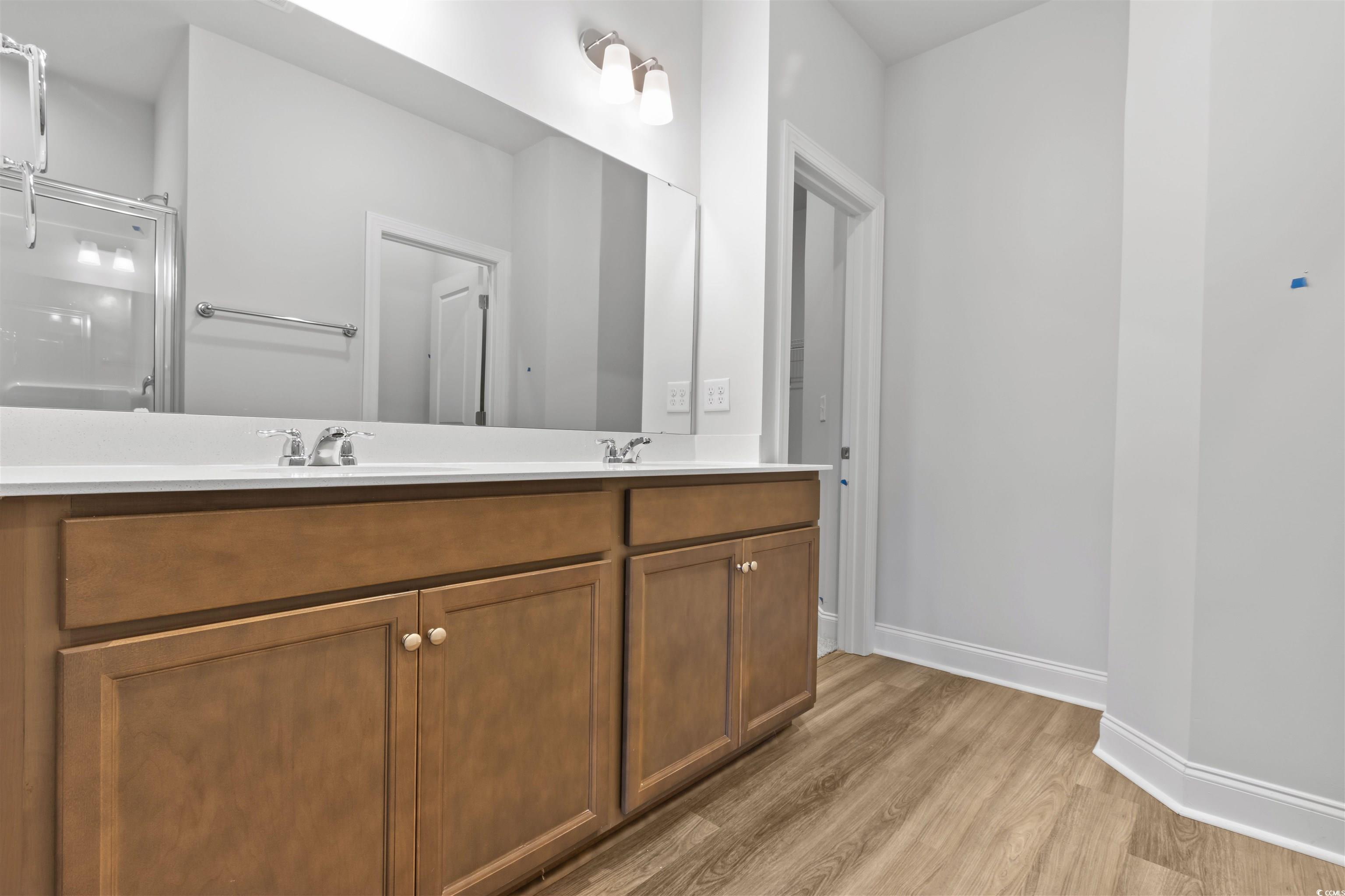 2461 Campton Loop Conway, SC 29527 - Photo 17 of 33 Bathroom featuring vanity, wood-type flooring, and