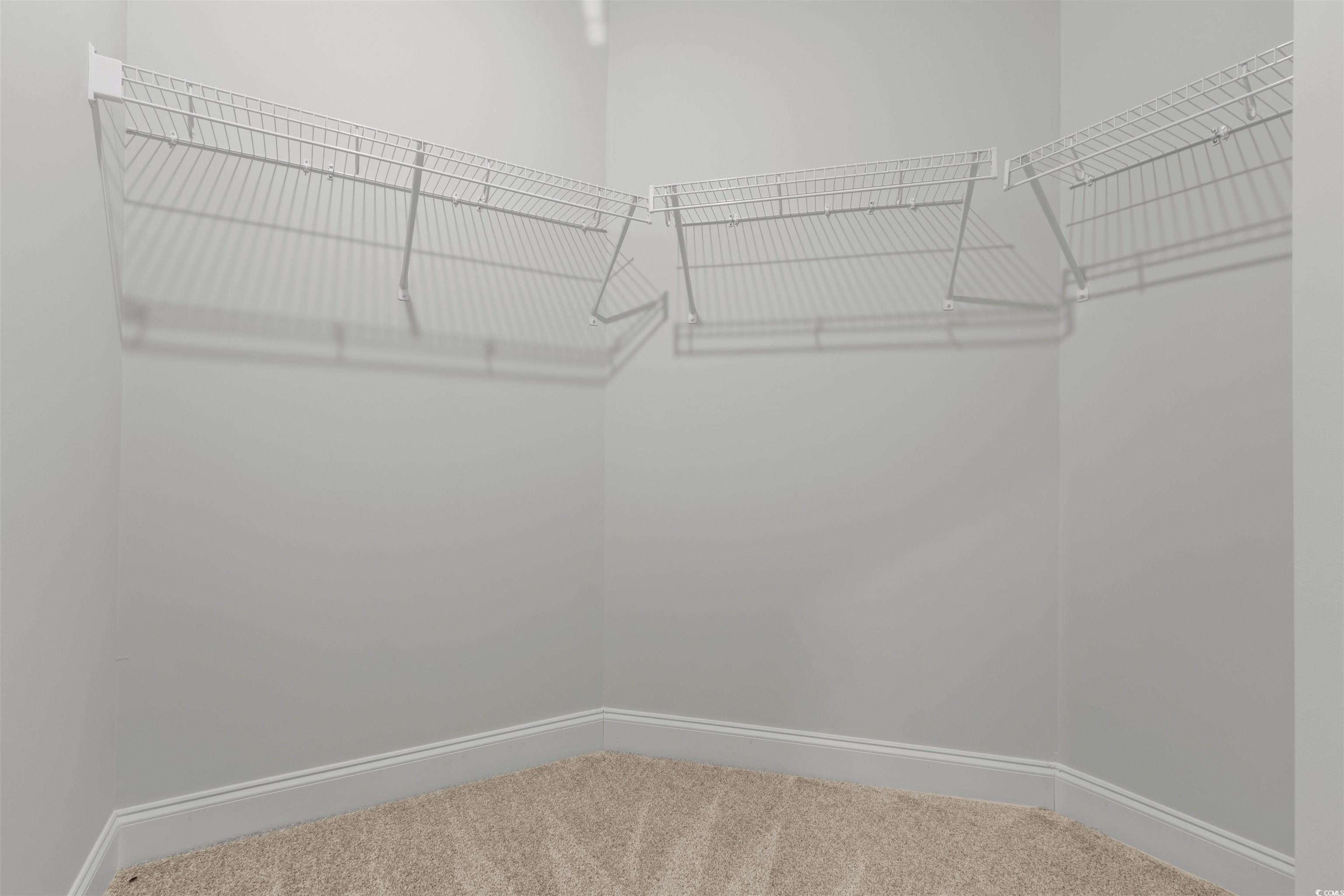 2461 Campton Loop Conway, SC 29527 - Photo 18 of 33 Spacious closet featuring carpet flooring