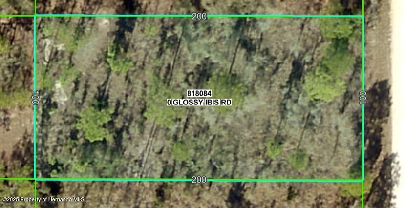 Lot 25 Glossy Ibis Road Weeki Wachee, FL 34614 - Photo 3 of 3